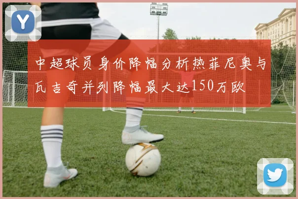 中超球员身价降幅分析热菲尼奥与瓦吉奇并列降幅最大达150万欧