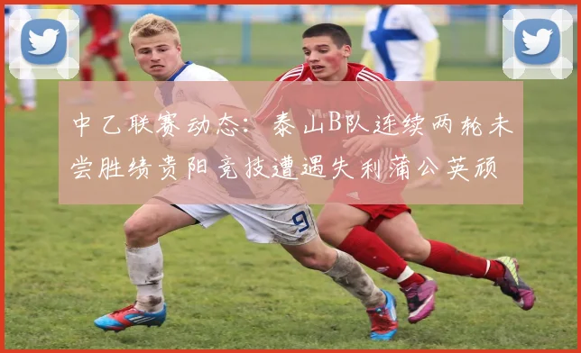 中乙联赛动态：泰山B队连续两轮未尝胜绩贵阳竞技遭遇失利蒲公英顽强战平